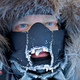 Illustration for article titled Walking To The South Pole (And Returning Alive)